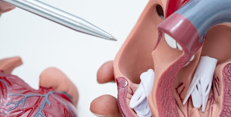 Valvotomy Instrument Balloon Mitral Valvotomy: A Minimally Invasive Treatment Option for ...